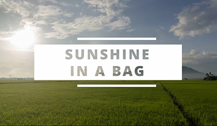 Sunshine in a Bag Shake Mix